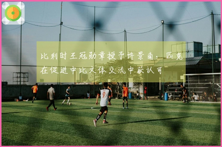 比利时王冠勋章授予许景南，匹克在促进中比文体交流中获认可